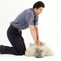 Know how to do CPR